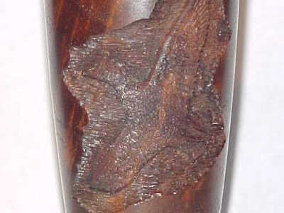 Brian Meyer - Guttenberg, Iowa - Laminated & Carved Call