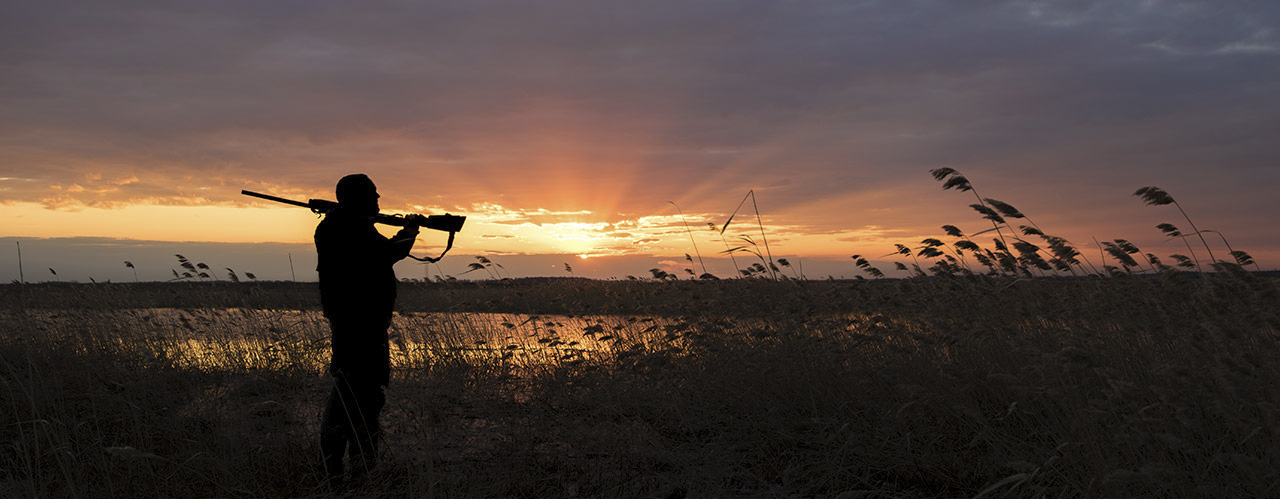 Duck Hunting man standing in the sunset